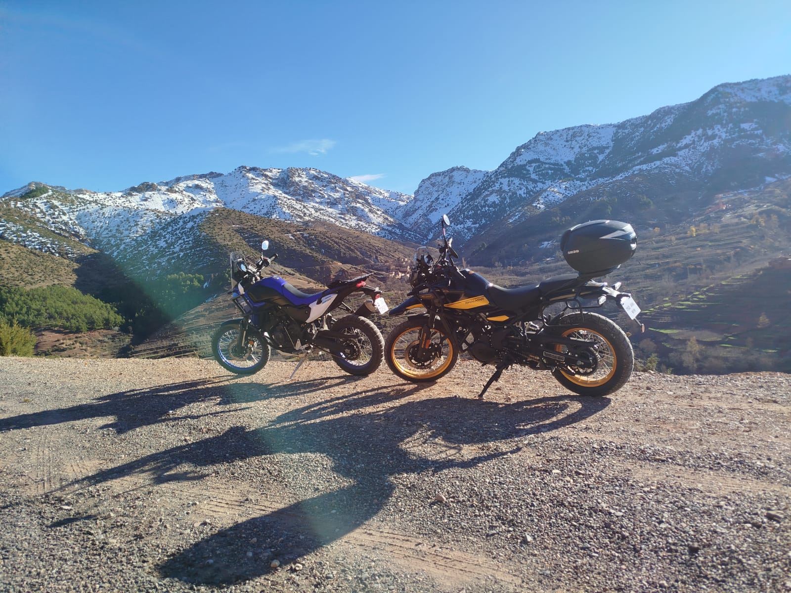 e754d8ae-f5a2-4aff-a66d-005c2a0de837 e754d8ae-f5a2-4aff-a66d-005c2a0de837